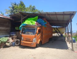 Pekerja Keluhkan Tindakan Perusahaan Putra Jaya Morowali: Gaji Tak Dibayar, Potongan Gaji Sepihak